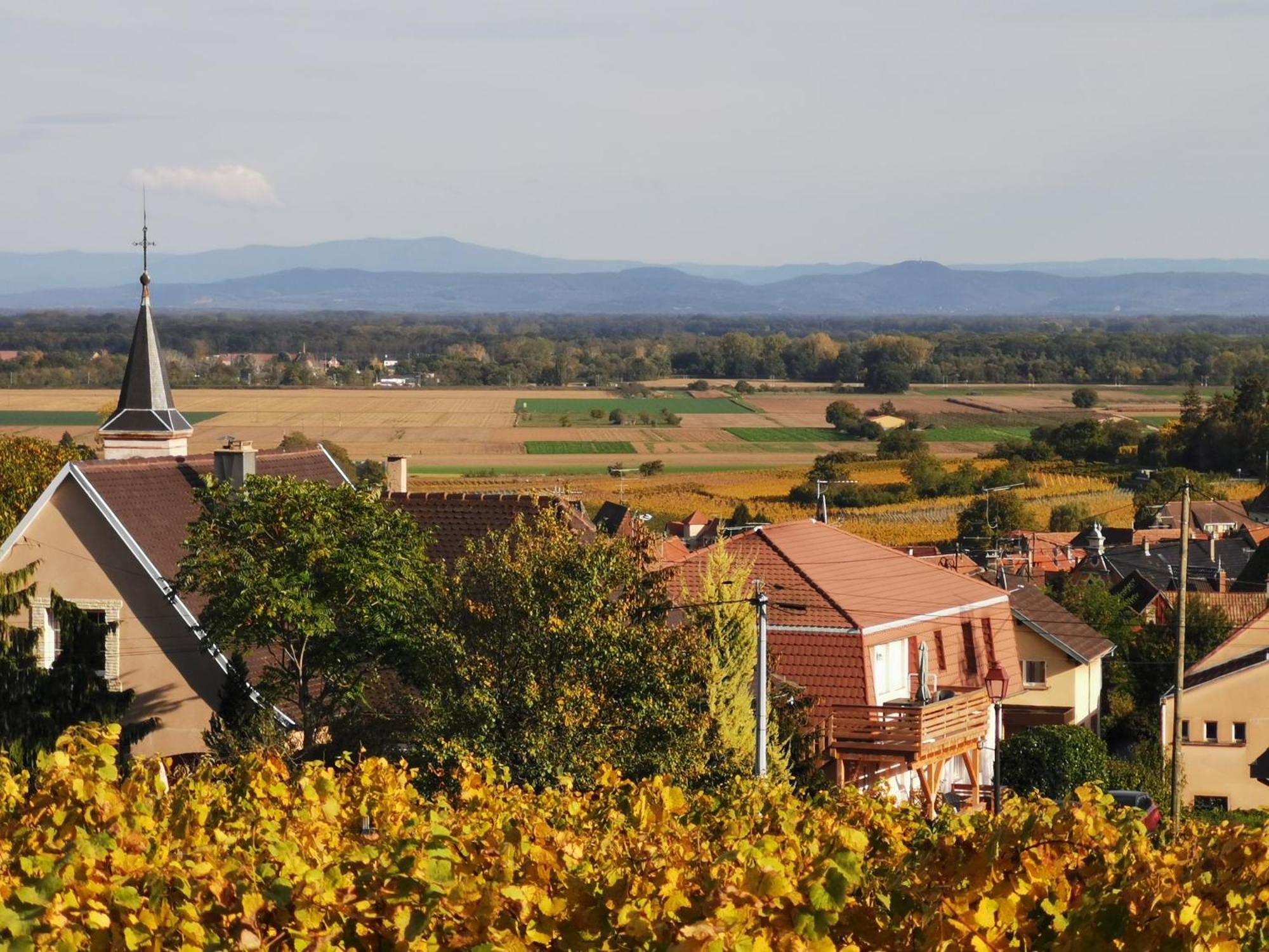 Gites Marschall Jean-Pierre Beblenheim Exteriör bild