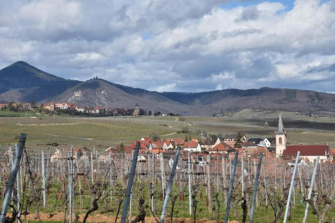 Gites Marschall Jean-Pierre Beblenheim Exteriör bild