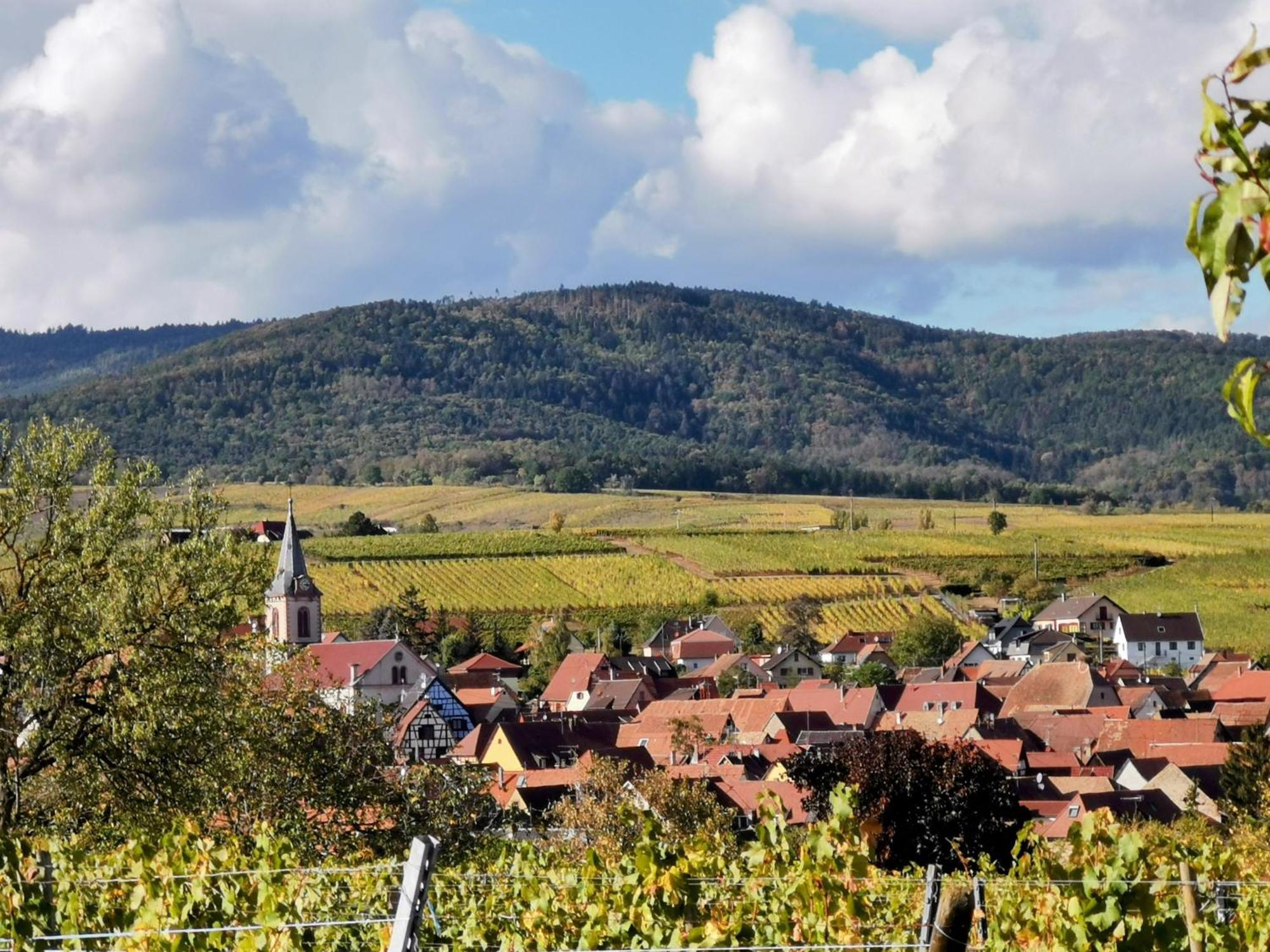Gites Marschall Jean-Pierre Beblenheim Exteriör bild